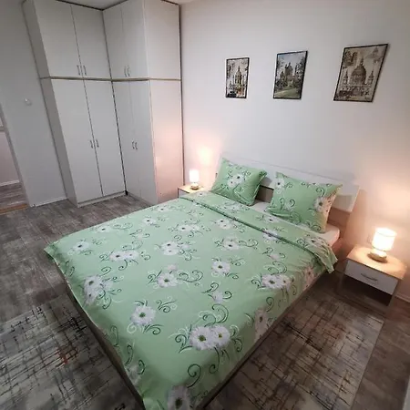 White House Ns * Novi Sad