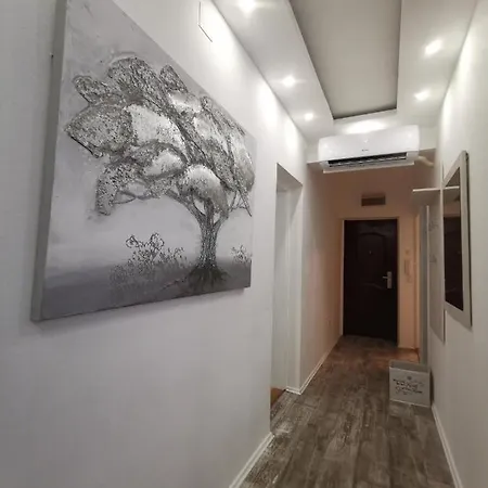 White House Ns Novi Sad